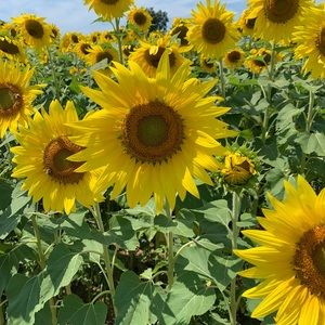 Meet your Posher, Breanna